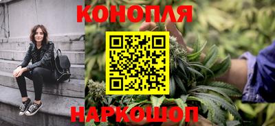 сатива Гусиноозёрск