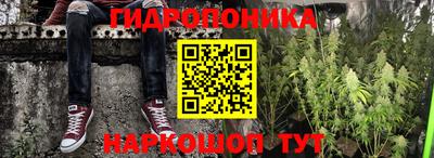 наркотики Гусев