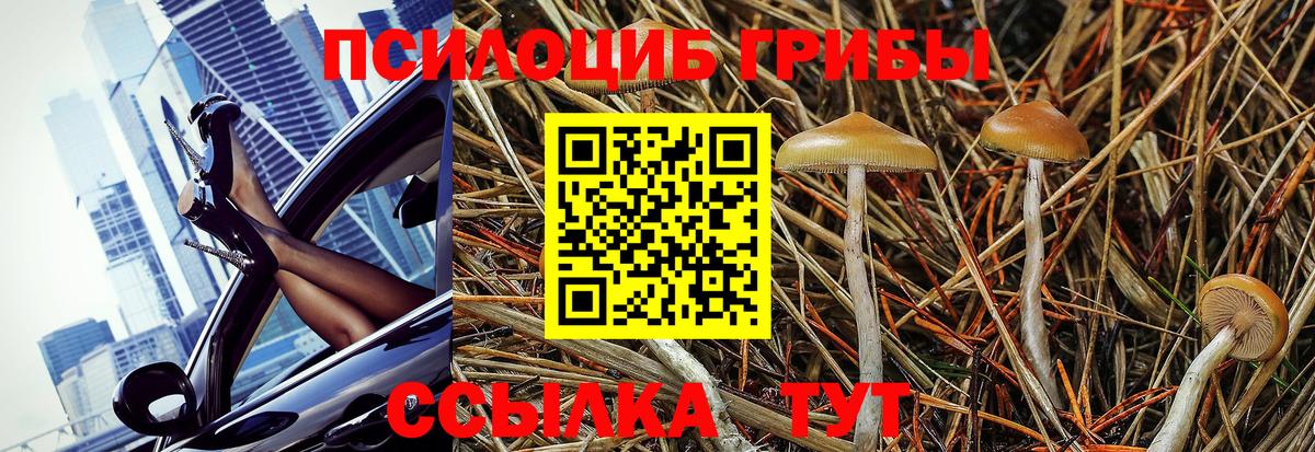 Муром  Галлюциногенные грибы MAGIC MUSHROOMS  закладки  Вход с VPN 