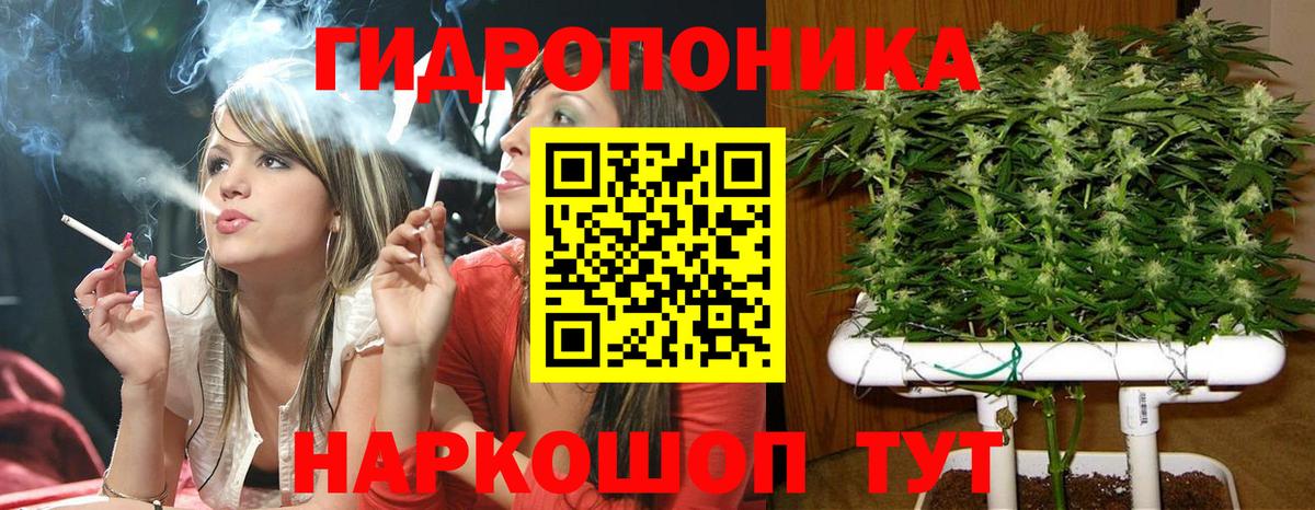 Каннабис планчик Муром